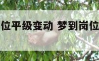 梦见工作岗位平级变动 梦到岗位变动是什么意思?