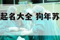 狗年苏姓女孩起名大全 狗年苏姓女孩起名大全集
