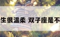 双子座男生很温柔 双子座是不是很温柔