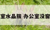 没窗的办公室水晶簇 办公室没窗户养什么花