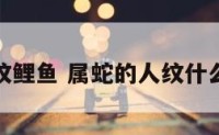 属蛇的人纹鲤鱼 属蛇的人纹什么动物最好