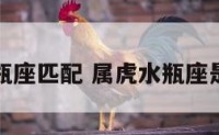 寅虎水瓶座匹配 属虎水瓶座是什么命