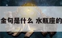 水瓶座金句是什么 水瓶座的一句话