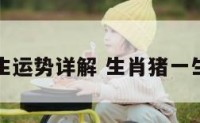 生肖猪一生运势详解 生肖猪一生运势如何