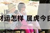 属虎今日财运怎样 属虎今日财运方位