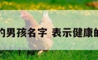 预义健康的男孩名字 表示健康的男孩名字