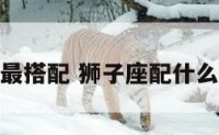 狮子座最搭配 狮子座配什么座最好