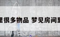 梦到房间里很多物品 梦见房间里很多东西