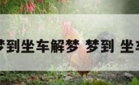梦到坐车解梦 梦到 坐车