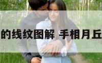 手相月丘上的线纹图解 手相月丘有一条横线