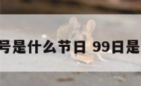 公立9.9号是什么节日 99日是什么节日