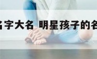 明星孩子名字大名 明星孩子的名字,哪个起的最好?