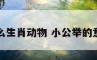 小公举什么生肖动物 小公举的意思是什么
