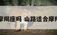 山路适合摩羯座吗 山路适合摩羯座吗男生