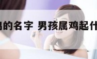 男孩子属鸡的名字 男孩属鸡起什么名字好2020