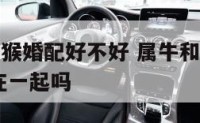 属牛的和属猴婚配好不好 属牛和属猴的婚姻如何 适合在一起吗