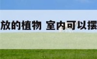 室内可以摆放的植物 室内可以摆放的植物有什么