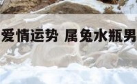 属兔水瓶男爱情运势 属兔水瓶男爱情运势如何
