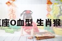 属猴水瓶座O血型 生肖猴的水瓶座