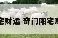 奇门阳宅财运 奇门阳宅财运如何
