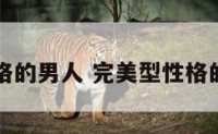 完美型性格的男人 完美型性格的男人好吗