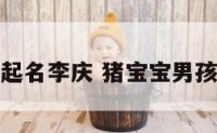 给男猪宝宝起名李庆 猪宝宝男孩取名宜用字