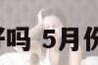 5月属马的好吗 5月份属马的命运