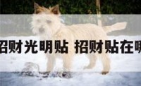 最招财光明贴 招财贴在哪里