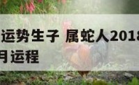 蛇2018运势生子 属蛇人2018年运势运程每月运程