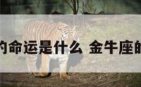 哦金牛座的命运是什么 金牛座的人的命运