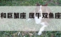 属牛双鱼座和巨蟹座 属牛双鱼座和属鼠双子座