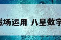 数字八星磁场运用 八星数字磁场3193