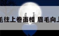 眉毛往上卷面相 眉毛向上卷