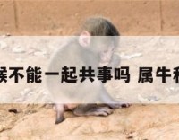 属牛跟属猴不能一起共事吗 属牛和属猴不和