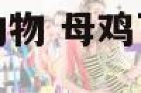 母鸡下蛋解什么动物 母鸡下蛋解什么动物最好
