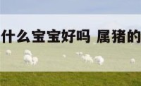 属猪的人生什么宝宝好吗 属猪的人应该生什么属相宝宝