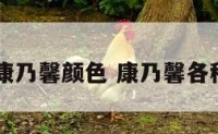 38妇女节康乃馨颜色 康乃馨各种颜色寓意