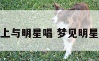梦见音乐会上与明星唱 梦见明星和自己唱歌