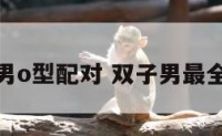 双子男o型配对 双子男最全配对