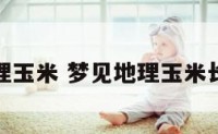 梦见地理玉米 梦见地理玉米长的瘦小