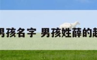 起名姓薛男孩名字 男孩姓薛的起什么名字