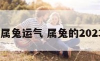 2023年属兔运气 属兔的2023年运势
