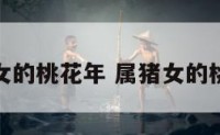 属猪女的桃花年 属猪女的桃花运
