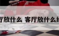 客厅放什么 客厅放什么绿植