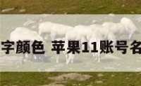 11账号名字颜色 苹果11账号名字怎么改