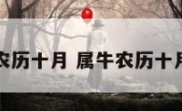 属牛农历十月 属牛农历十月出生