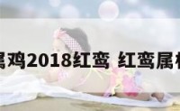 属鸡2018红鸾 红鸾属相