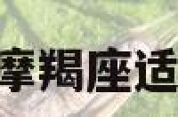 摩羯座学跳舞 摩羯座适合学什么特长?