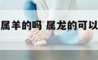 属龙可以找属羊的吗 属龙的可以和属羊的在一起吗