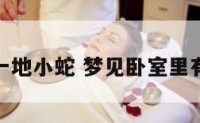 梦见卧室一地小蛇 梦见卧室里有蛇到处爬